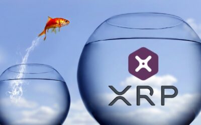 ریپل به دنبال توسعه هر چه بیشتر xRapid