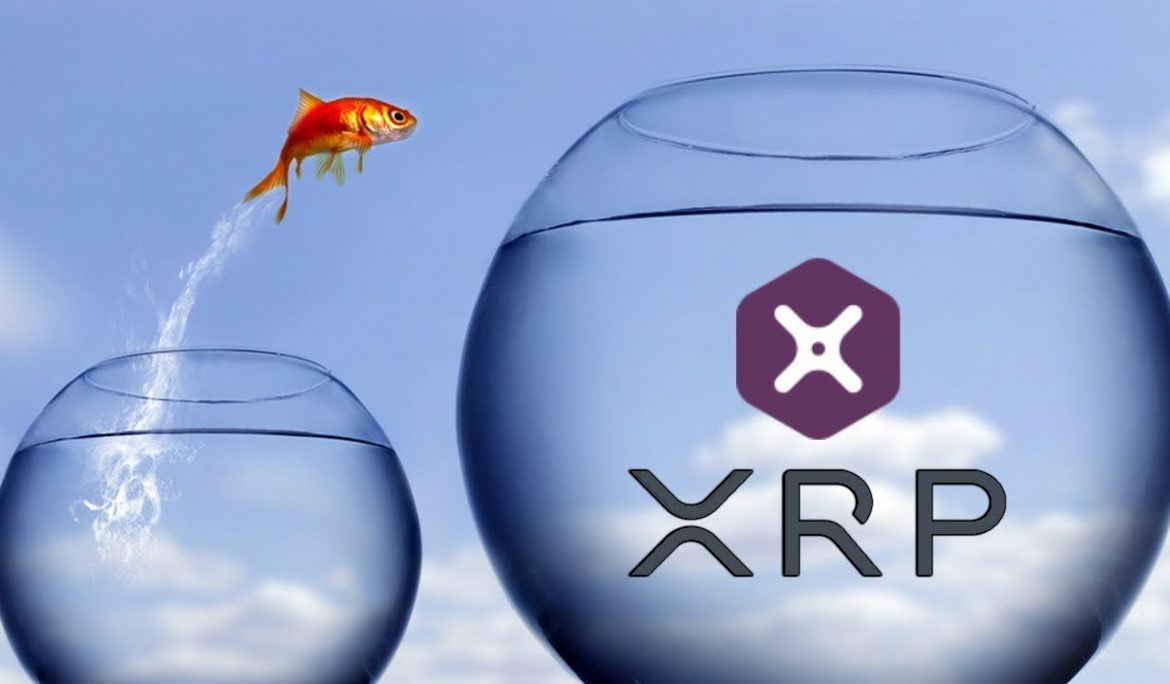 ریپل به دنبال توسعه هر چه بیشتر xRapid