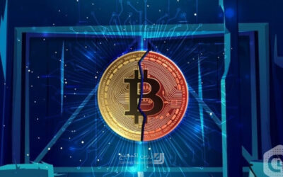 هاوینگ چیست؟ نصف شدن پاداش پاداش بیت کوین چه تاثیری دارد؟