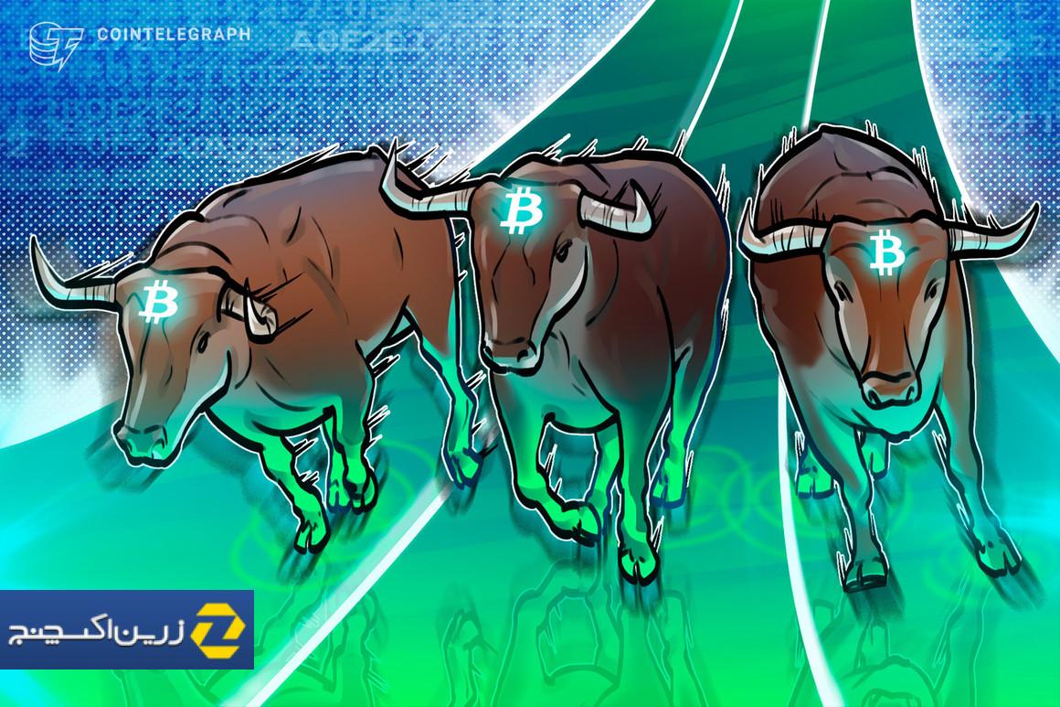 آیا این شروع مسابقات گاو نر بعدی است؟
